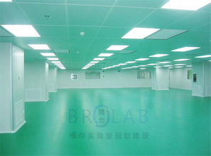 醫(yī)院潔凈實驗室設計規(guī)劃凈化工程怎么做 brolab
