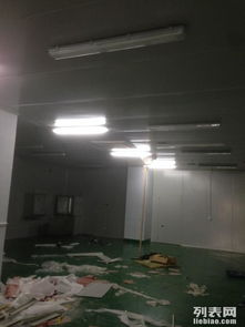 金山石化區(qū)食品廠專業(yè)凈化工程 彩鋼巖棉板隔斷、車間隔墻與工裝裝修一體化解決方案